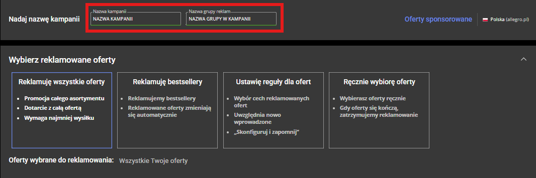 Nazwa kampanii oraz nazwa grupy reklam