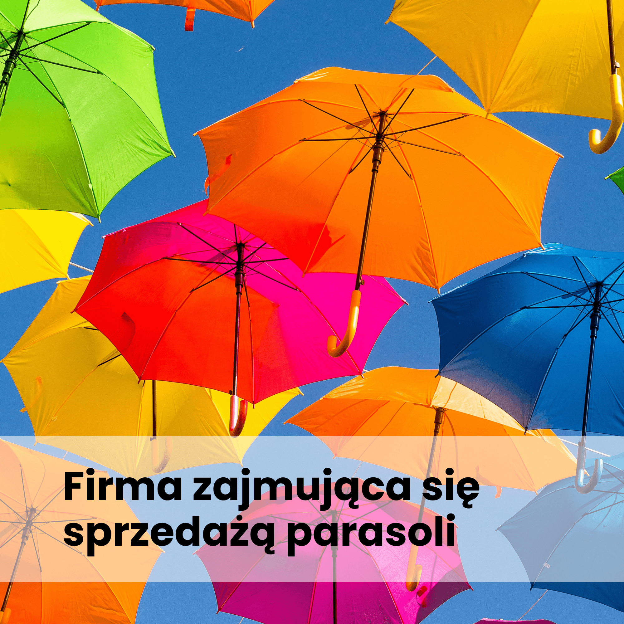 Dystrybutor sezonowy na Allegro: Skuteczna kampania z ROAS powyżej 9